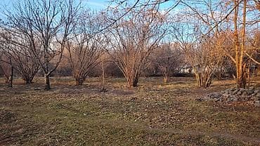 Аренда участков: Для сельского хозяйства — 6