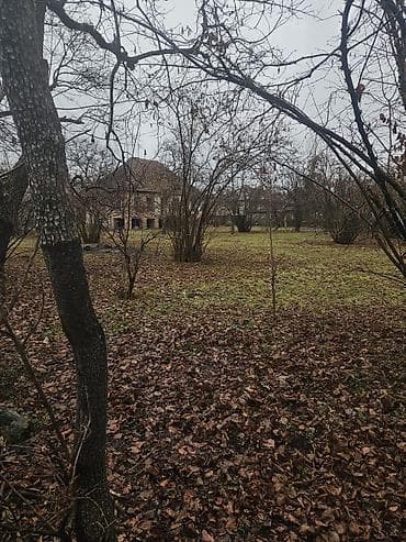 hovuzlu evler baki: Kupça (Çıxarış) — 1