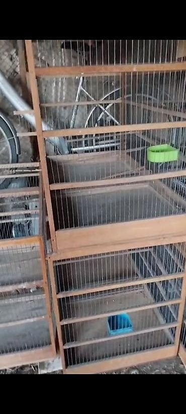 toptan yem satışı: Taxta çərçivəli, metal torlu böyük qəfəs - Karkas: möhkəm taxta — 2