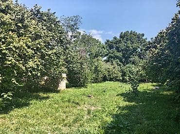 sumqayitda evler 2 otaqli: Dağ ətəyində yaşıllıqla əhatələnmiş həyət evi - Geniş, meyvə ağacları — 3