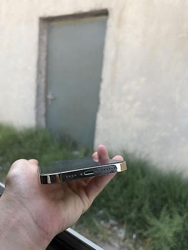 rəsmi note 13: IPhone 13 Pro Max, Qızılı — 6