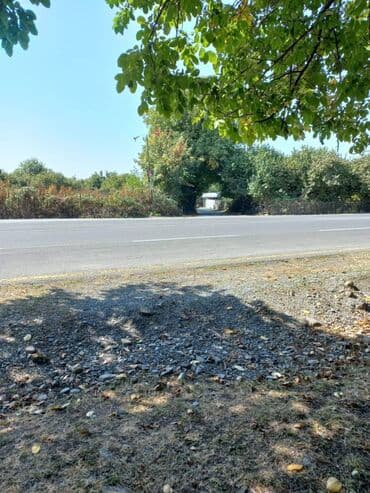 aylıq kirayə evlər bakı: 10 sot, Makler, Kupça (Çıxarış) — 6