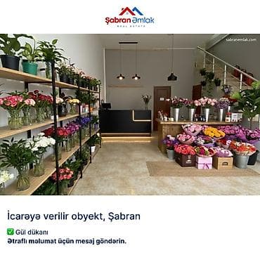 bakı ev satışı: İcarəyə verilir kommersiya obyekti – Şabran mərkəzi - Şəhərin — 8