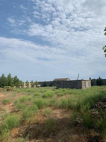 tecili ev satilir 2020: 37 sot, Maklerlər narahat etməsin, Kupça (Çıxarış) — 6