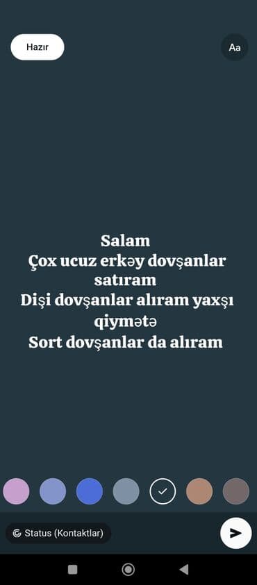 котята в баку бесплатно 2020: Məhsul/xidmət: Dovşanların satışı və alınması - Çox ucuz erkək — 1