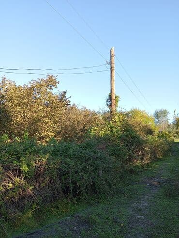 fatmayı torpaq: Kənd təsərrüfatı — 3