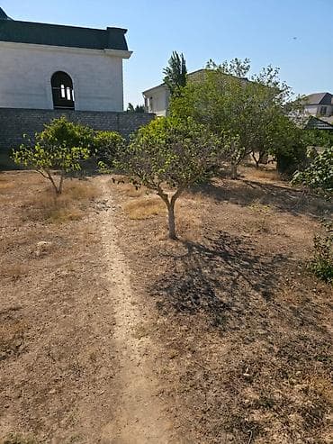 8 sot, Mülkiyyətçi, Kupça (Çıxarış) — 3