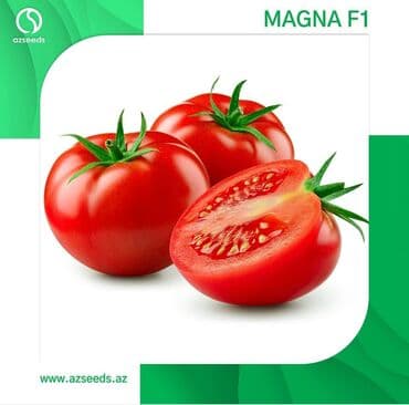 ciyelek toxumu: Amin f1
mirsini
karistant
grandis — 5