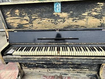 balaca piano: Piano. 1 dili qırıqdı. Qalan dilleri işlekdi. Köklenmelidi. Yağışda — 1