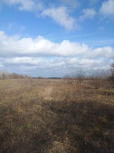 ayda torpaq satışı: 96 sot, Biznes üçün, Kupça (Çıxarış) — 1