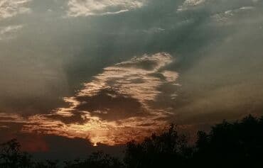 havalandirma mator: Mavi rəngli MTZ tipli təkərli traktor - Kabinalı, iki yan güzgülü - — 3