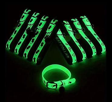 it üçün xalta: Parlayan heyvan boyunbağısı – it və pişiklər üçün Gündəlik istifadə — 3