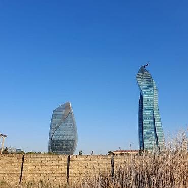 cepis satisi: Biznes üçün, Kupça (Çıxarış) — 10
