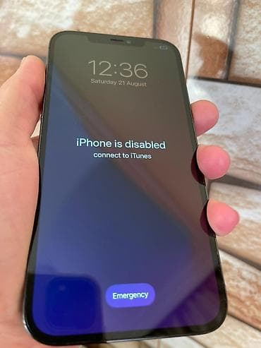 iphone se 2025: IPhone 12 Pro, 256 GB, Pacific Blue — 6