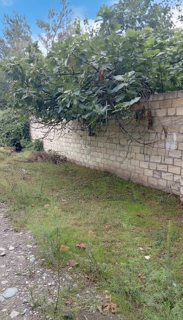 gəncədə bina evlərinin satisi: Tikinti — 1