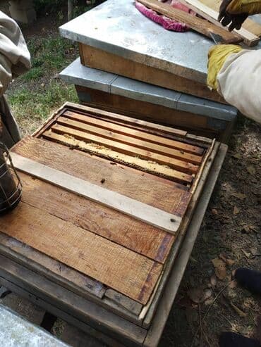 meşə balı: Ismayilli mese bali. 1 kg - 30 azn Ariciliq teserrufati Ismayilli — 4