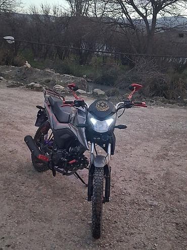 opel vectra a: - WS — 1