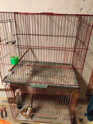 Животные: Quş qəfəsləri – müxtəlif ölçülərdə 1Ədədi-10AZN Məhsul təsviri: - — 3