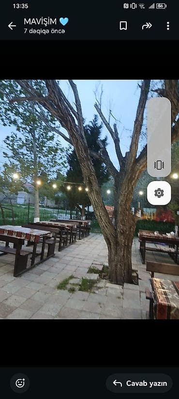 Cənnət Bağı Kafesi – açıq havada rahat məkan. Hal hazırda işlək — 1