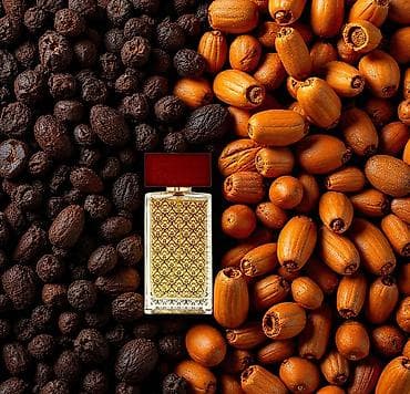 Salam Empire Oud By Al Musbah Original Dubaydan getrilib iyi allergiya — 2