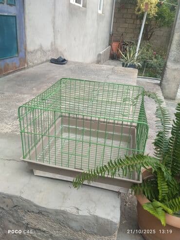 большая клетка для кролика: Dovşan toyux cuce qefesi ustu acilandi 35-40 azndi satisda 20 manata — 1