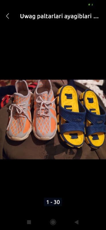 мейн кун купить в баку: Amerikan Shorthair, Erkək, Ünvandan götürmə — 8