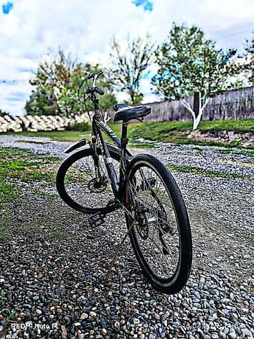 velisoped 26: VOLF markalı dağ velosipedi - Çərçivə: yüngül alaşımlı metal, XL — 1