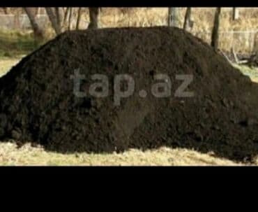 toxuma semeni: Torpaq (samaxi̇ )qumsebən,accep, sement,kərpi̇c.Topdan və — 1