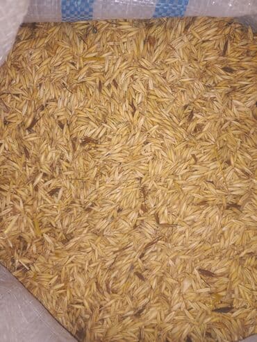 ZİL: Məhsul: Düyü qabığı (kəpək qabığı/çovdar qını tipli düyü pərdəsi) — 4