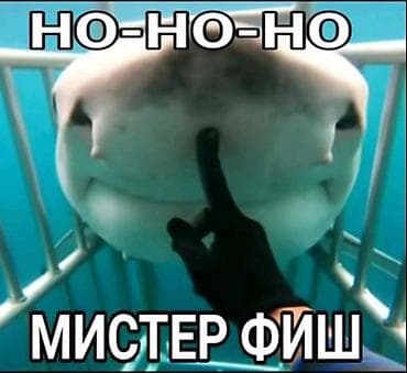 ekran sekilleri 2020: Meme plakatı – “HO-HO-HO MISTER FISH” - Növ: Rəqəmsal çap üçün yüksək — 1