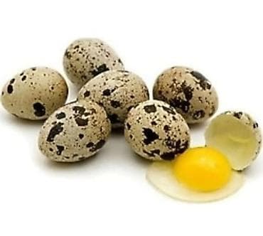 BILDIRCIN YUMURTASI.UNVAN BINE SAVXOZ