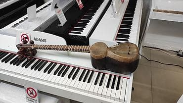 dj controller az: Tar Milli Musiqi Alətləri hər növdə musiqi alətlərinin Satışı alışı — 1