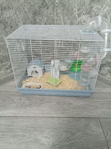 Hamster üçün tam dəst qəfəs - Metallik ağ torlu üst hissə, mavi lalafo.az -da Hamster üçün tam dəst qəfəs - Metallik ağ torlu üst hissə, mavi