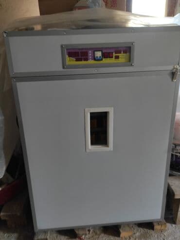 inkubator avadanlıqları: 1000 yumurtalıq inqubator Generator və yem üyüdən ilə birlikdə — 8
