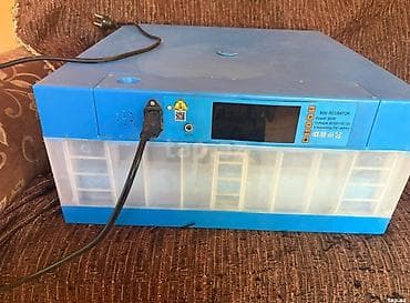 60 ededli yumurtalı az işlenmiş inkubator 170 Azn.Ünvan Binə — 3