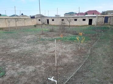 bine atciliqda torpaq: 7 sot, Tikinti, Mülkiyyətçi, Kupça (Çıxarış) — 4