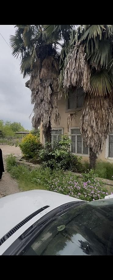 kepenek sekilleri: 1 ededin 200 deyirem. Kim ne verir teklif elesin Məhsul: Hündür — 4