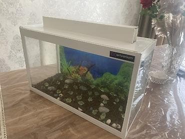 akva: Dördbucaq akvarium, Boş, 20 l, Ünvandan götürmə — 1