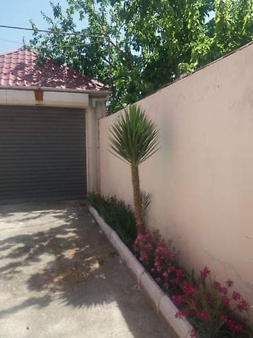 ramanada torpaq satisi: Novxanı, 500 kv. m, 12 otaq, Kombi, Qaz, İşıq — 10