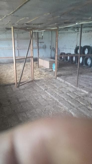 sulutepe cicek qesebesinde torpaq: Kurdaxani qesebesindi bag evi kiraye verilir — 6