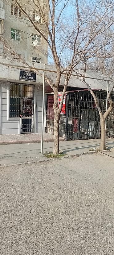 sari saç: Qadın saç ustaları | Saç kəsimi — 3