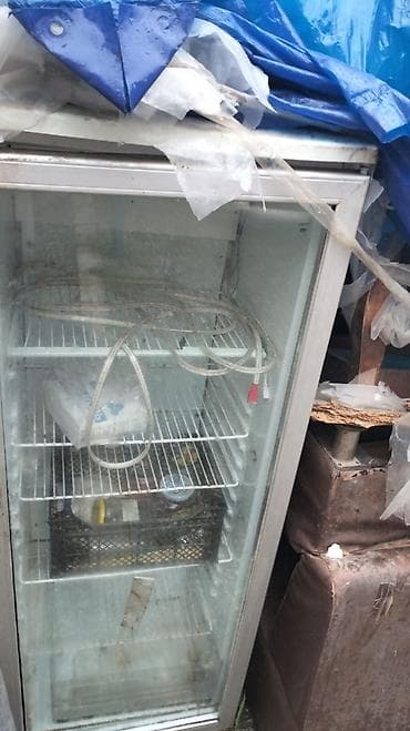 islenmis xaladelnik: Vitrin tipli soyuducu şkaf - Şüşə qapılı, tək qapı dizayn - Daxildə 4 — 2