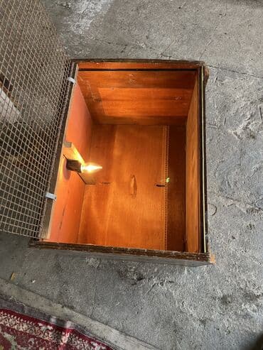 heyvanlar ucun bit dermani: Mewdagadadi — 3