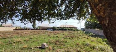 земля в аренду под строительство: Tikinti, Mülkiyyətçi, Kupça (Çıxarış) — 4