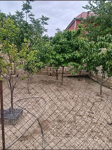 heyet evleri satilir: Wexsi qowa dawla tikilib, 5otaq,metbex,hamam tualet ayri ayriliqdadi — 2