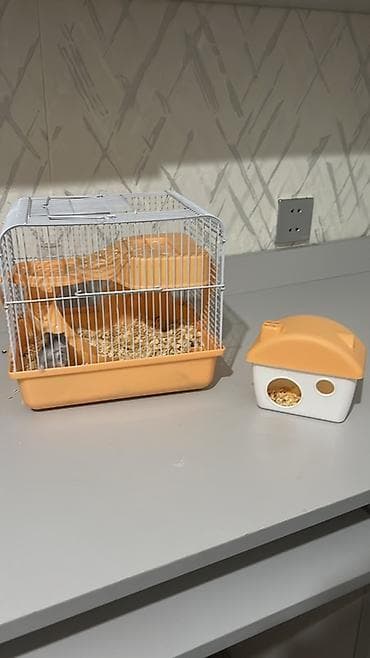 Heyvanlar üçün mallar: Hamster üçün tam avadanlıqlı qəfəs dəsti çinsi qızdı - Material — 8
