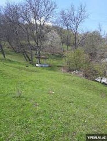 ramana gülçülük sovxozu: 60 sot, Biznes üçün, Mülkiyyətçi, Müqavilə — 1