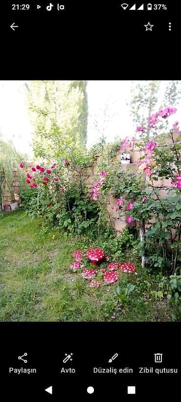 berdede ev: 3 otaqlı, 90 kv. m, Yeni təmirli — 9