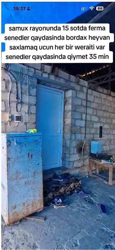 opşitel evler: Samux rayonunda 15 sot torpaq sahəsində yerləşən heyvandarlıq ferması — 3