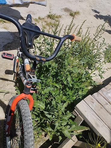 24 velosiped: İki təkərli Uşaq velosipedi 22", sürətlərin sayı: 1 — 2
